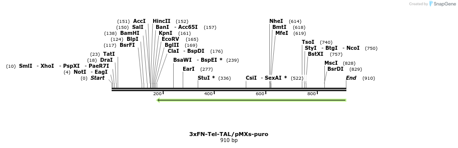 108019_map