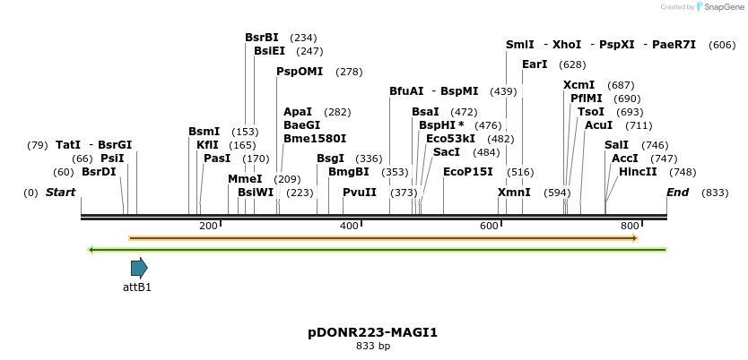 10802_map