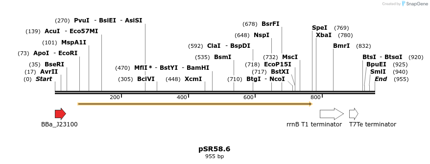 108025_map