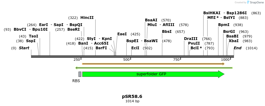 108026_map