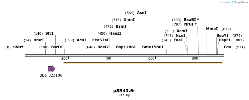 108029_map