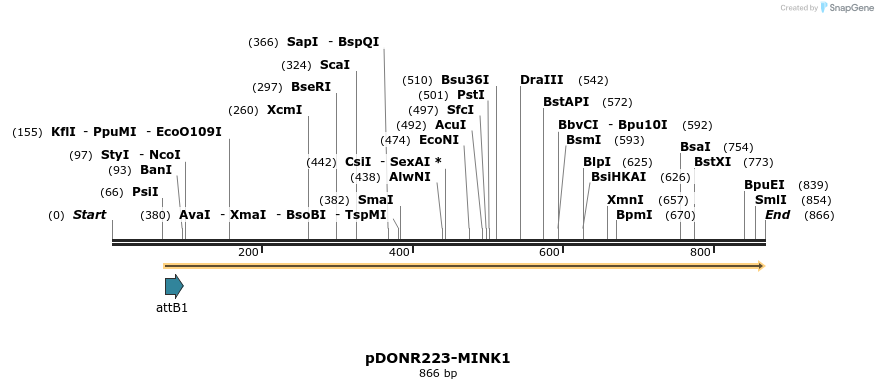 10803_map