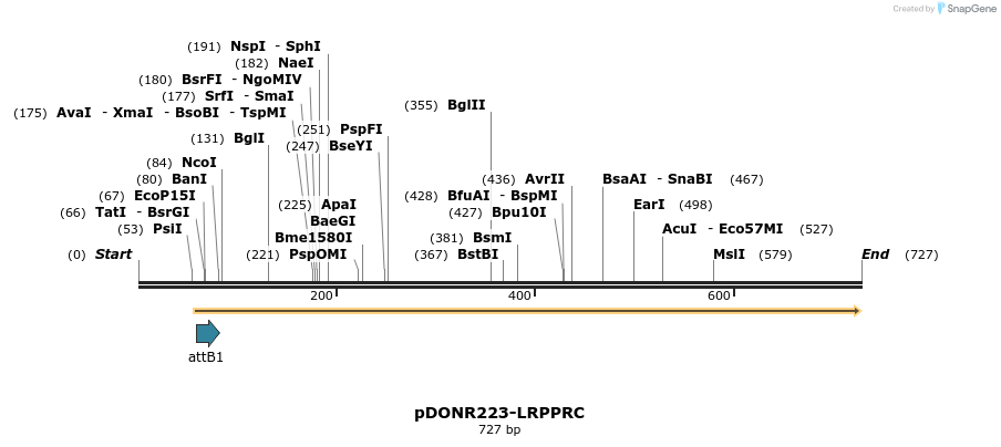 10804_map