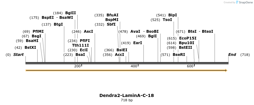 108042_map