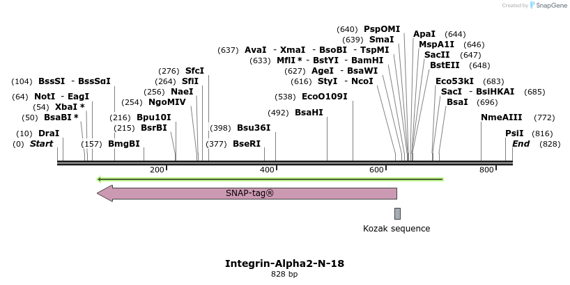 108045_map