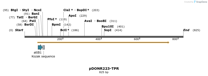 10806_map