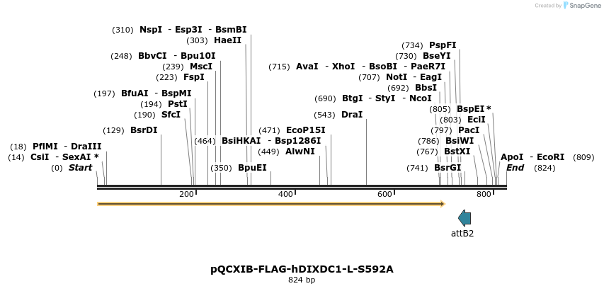 108065_map