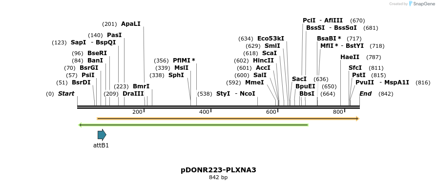 10807_map