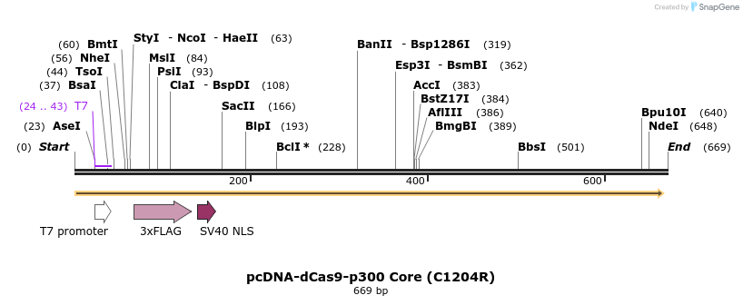 108072_map