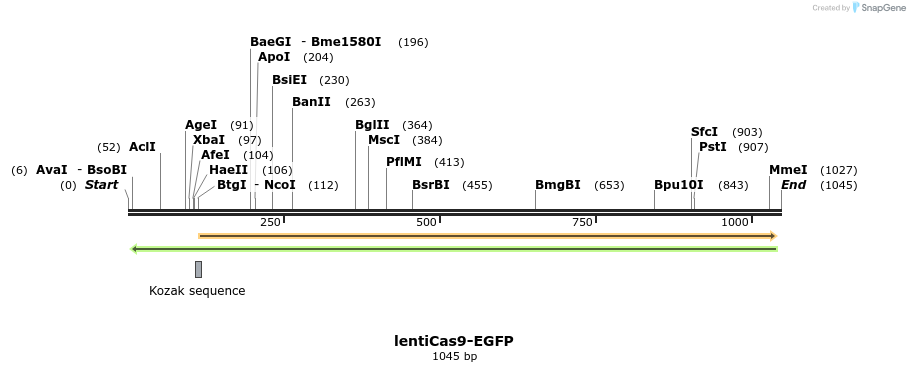 108075_map