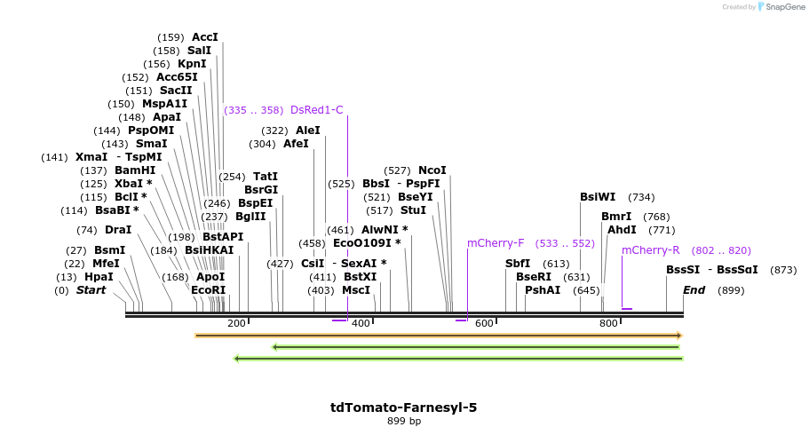 108078_map