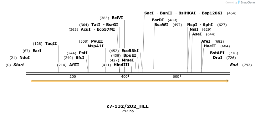 108079_map