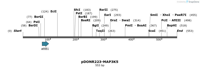 10808_map
