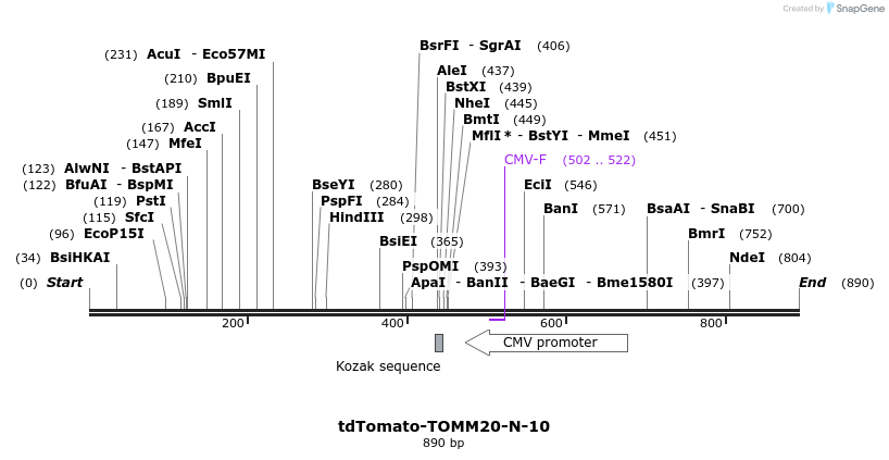 108081_map