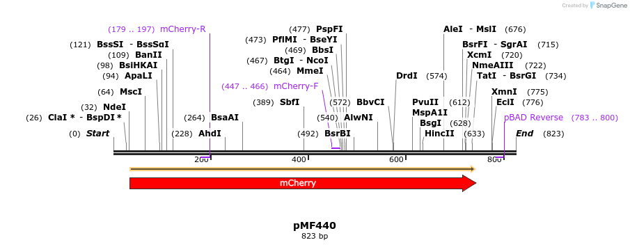 108098_map