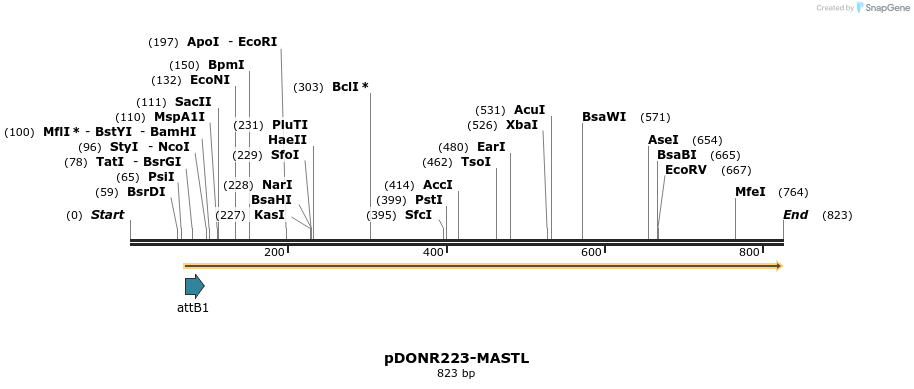10810_map