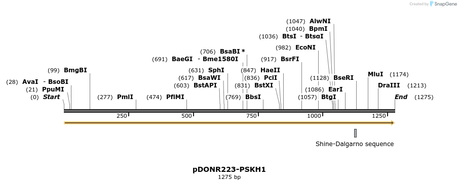 10811_map