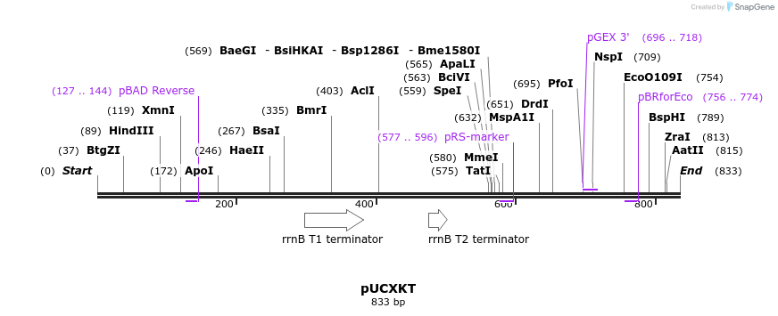 108121_map