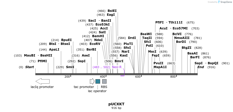 108122_map