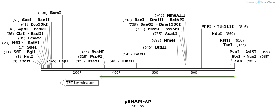 108123_map