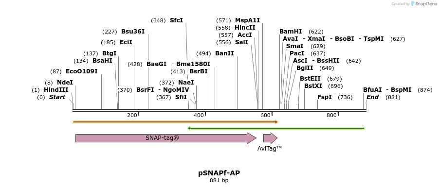 108125_map