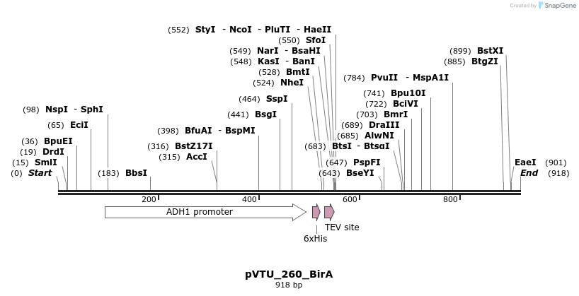 108126_map