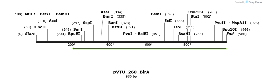108127_map