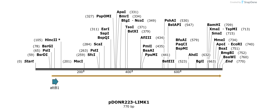 10814_map