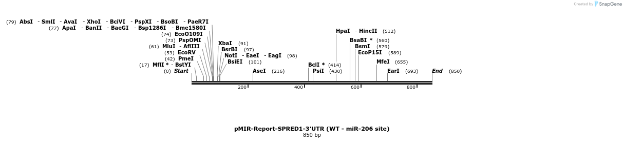 108141_map