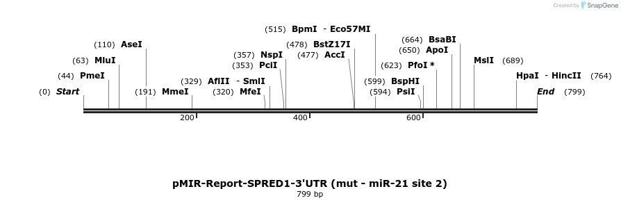 108143_map