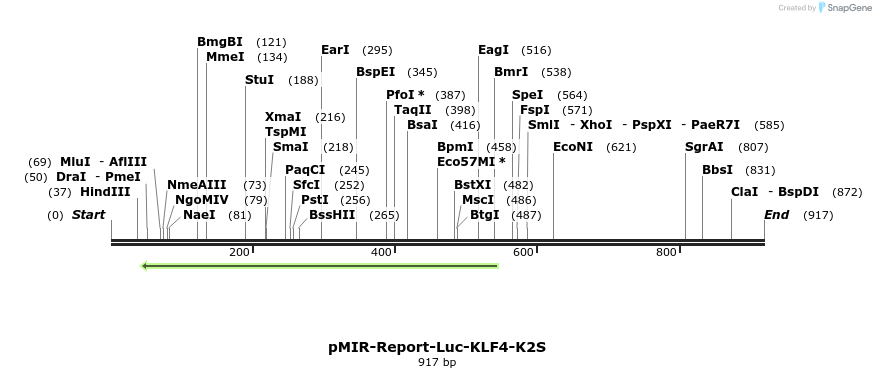 108146_map
