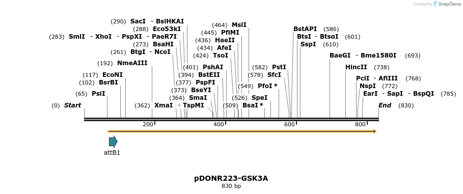 10815_map