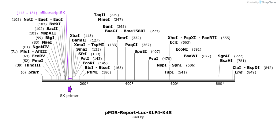 108152_map