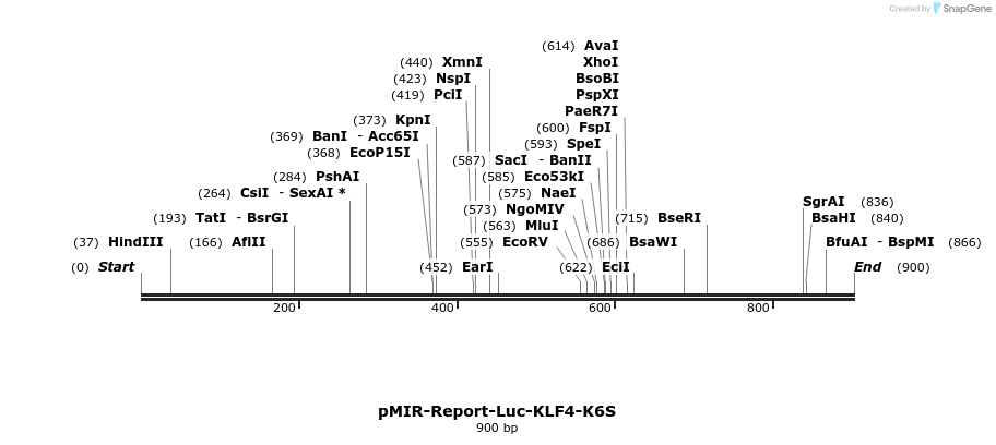 108154_map