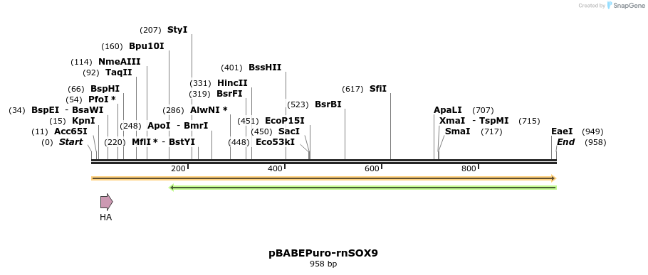 108158_map
