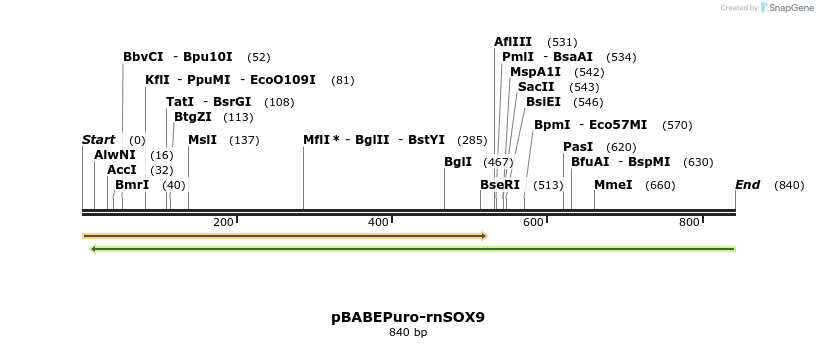 108159_map