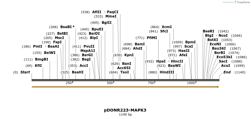 10816_map