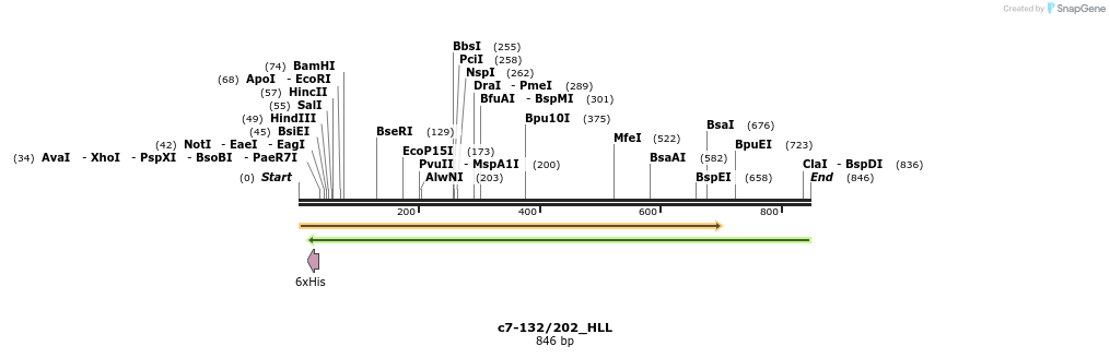 108160_map