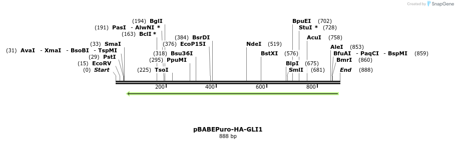 108161_map