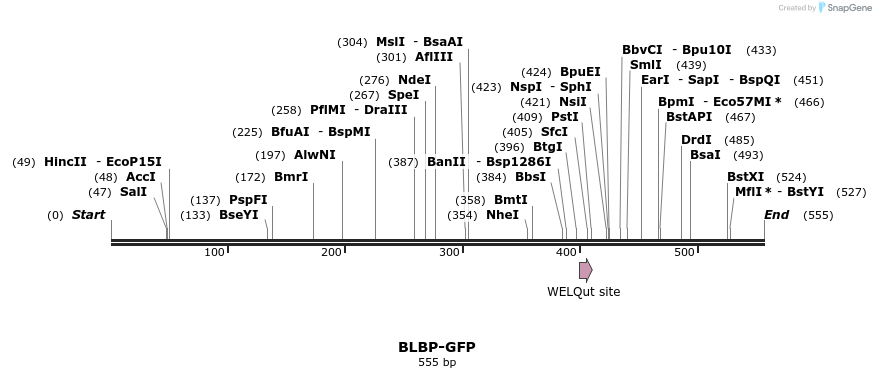 108169_map