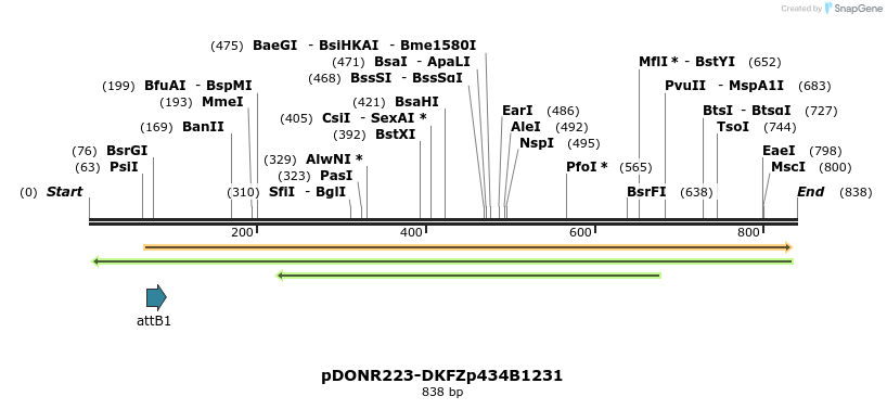 10817_map