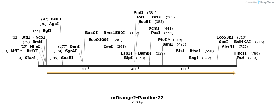 108170_map