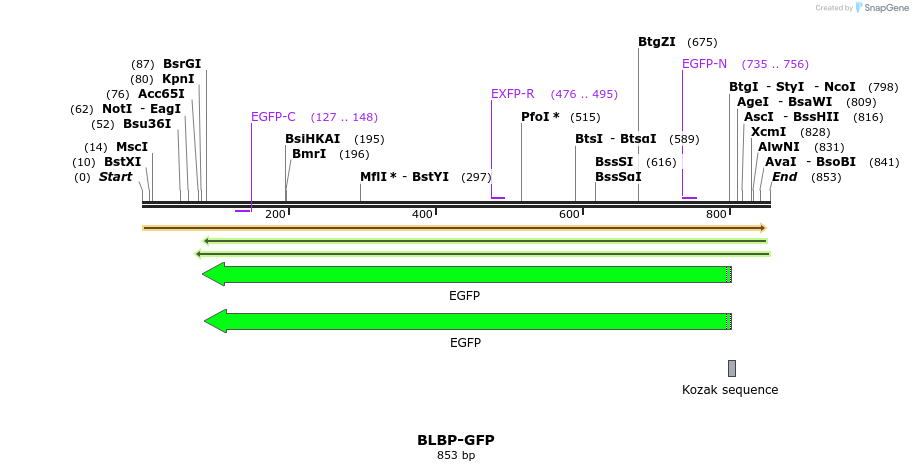 108174_map
