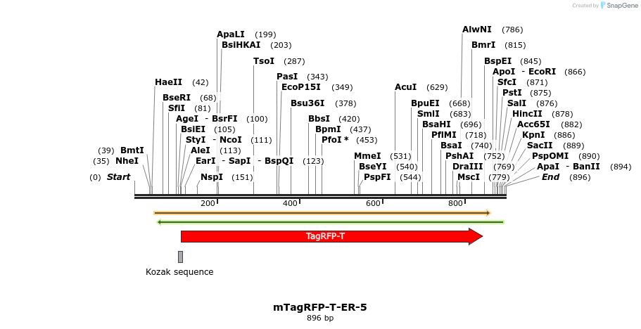 108178_map