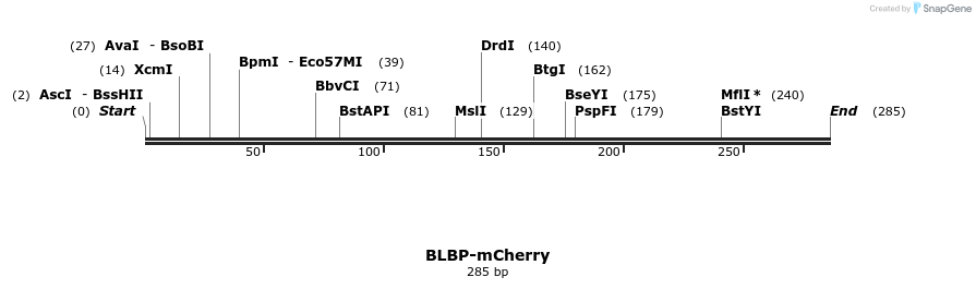 108179_map