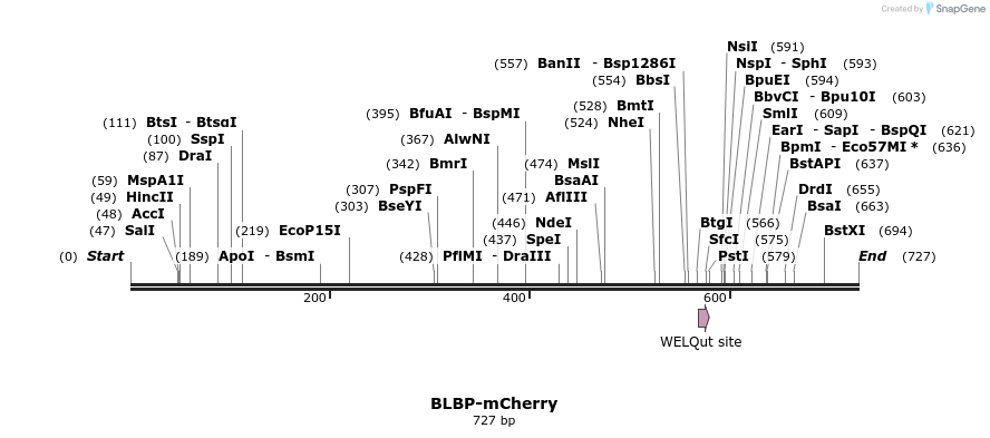 108184_map