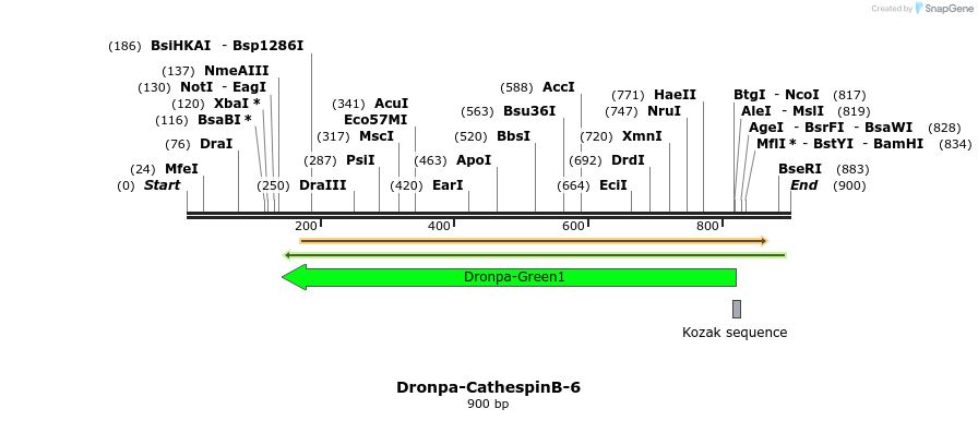 108185_map