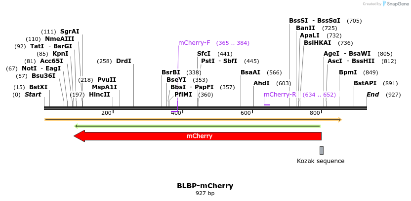 108186_map