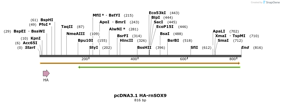 108188_map