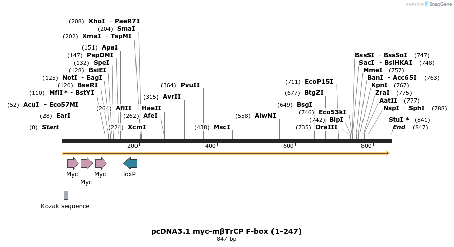 108189_map